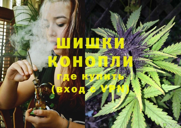 стафф Горнозаводск
